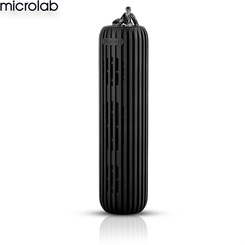 Loa Microlab D21
